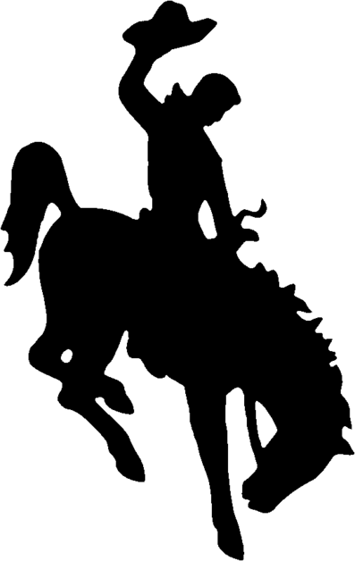 Wyoming Bucking Horse and Rider